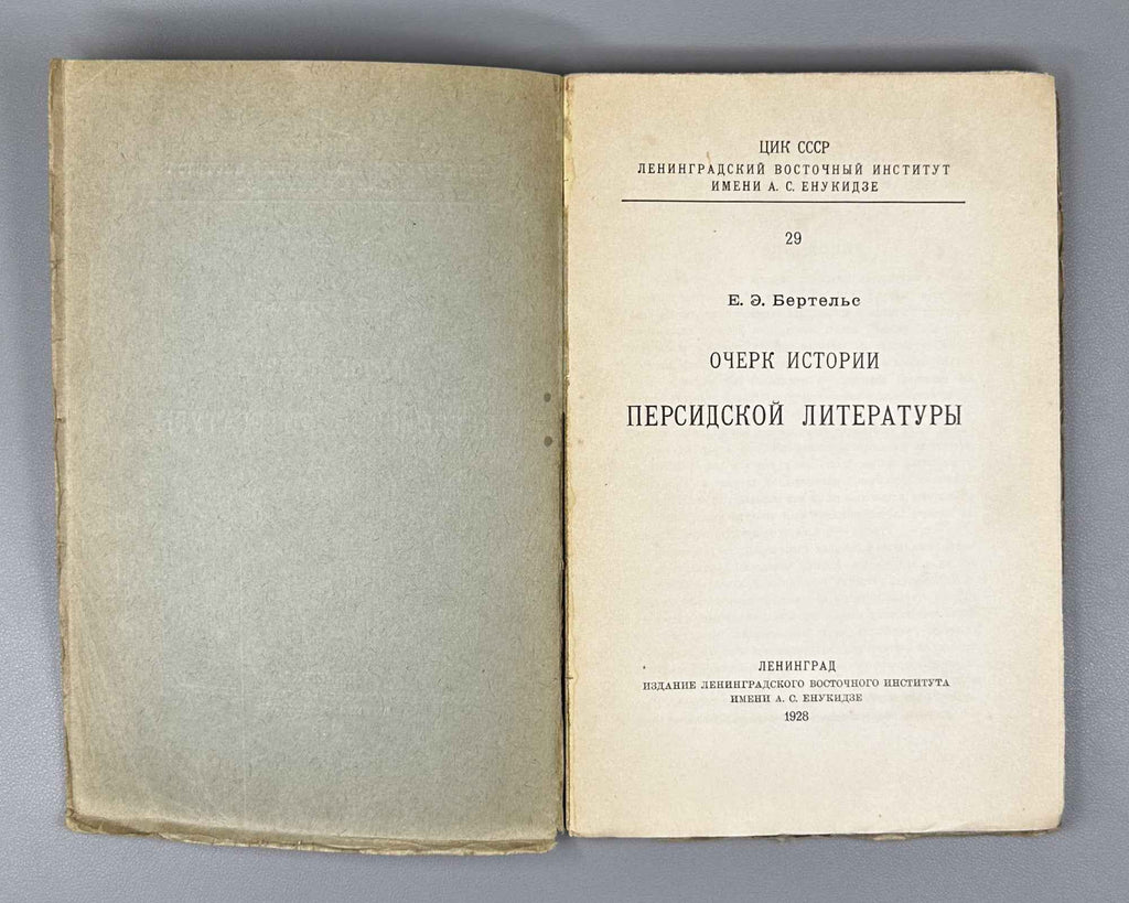 Bertels, Yevgeny. Essay on the History of Persian Literature (Ocherk istorii persidskoi literatury). First edition. Publication of the Leningrad Oriental Institute named after A. S. Enukidze, 1928. In Russian.