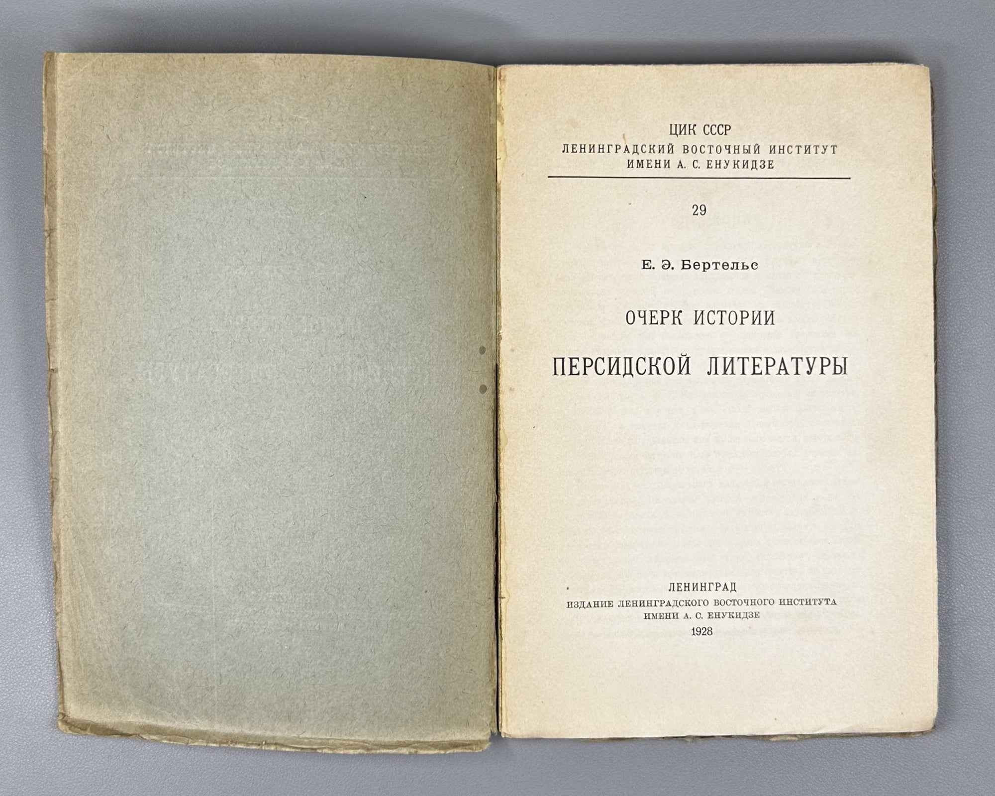 Bertels, Yevgeny. Essay on the History of Persian Literature (Ocherk istorii persidskoi literatury). First edition. Publication of the Leningrad Oriental Institute named after A. S. Enukidze, 1928. In Russian.