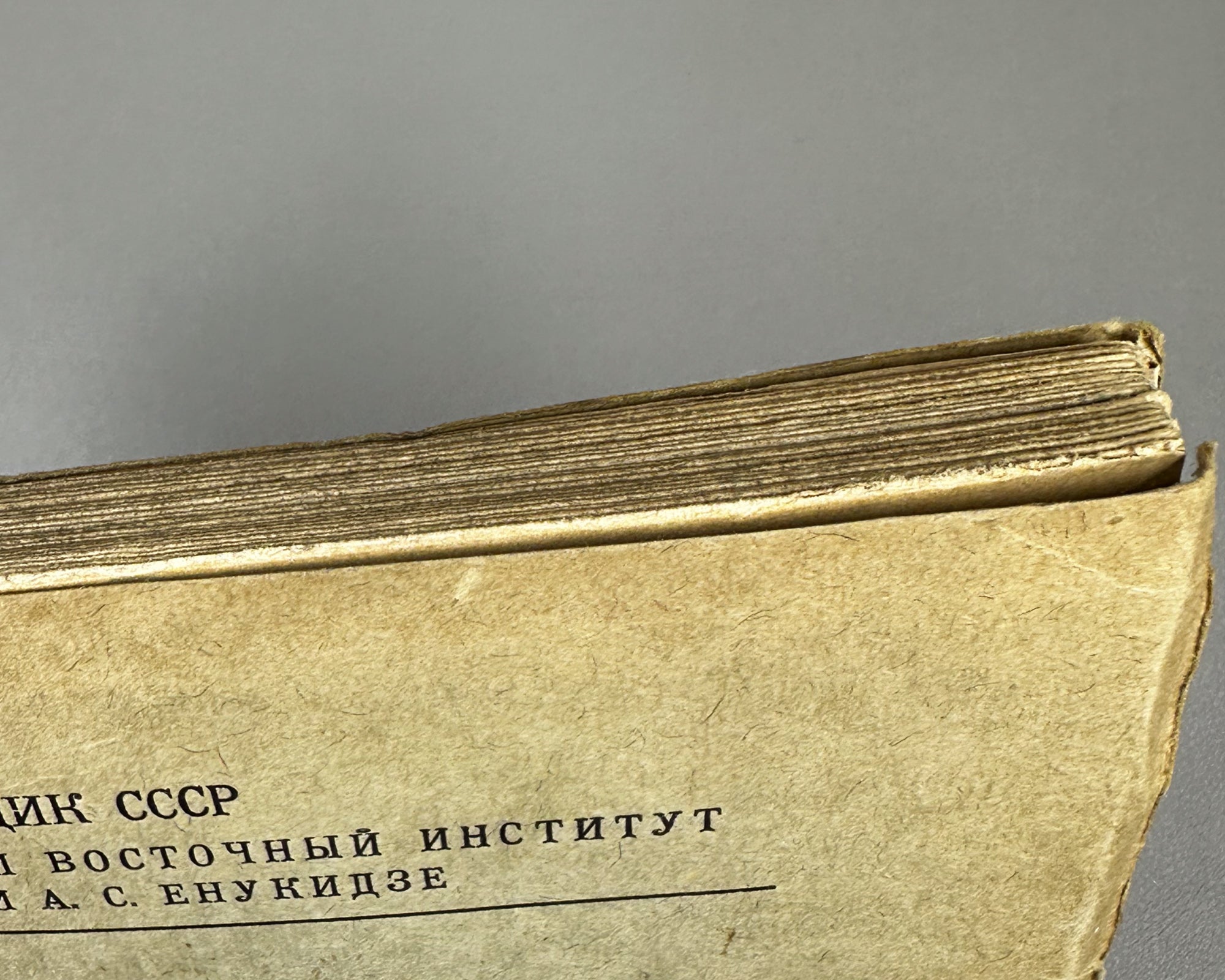 Bertels, Yevgeny. Essay on the History of Persian Literature (Ocherk istorii persidskoi literatury). First edition. Publication of the Leningrad Oriental Institute named after A. S. Enukidze, 1928. In Russian.