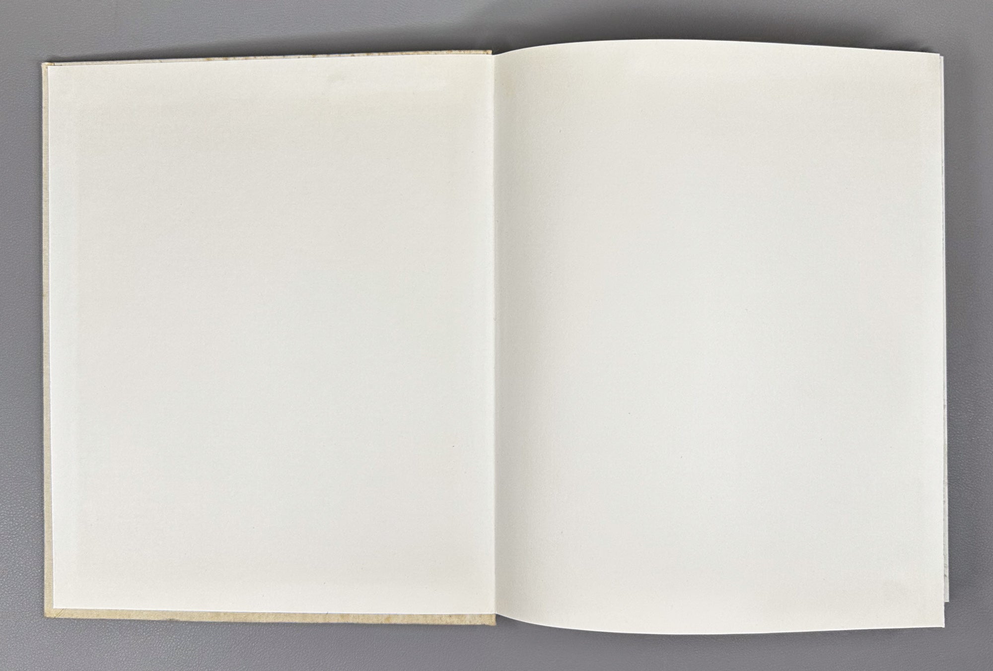 Beridze, Lebanidze, Medzmariashvili. David Kakabadze: The Path of the Artist. The Artist and the Time, 1989. In Russian.