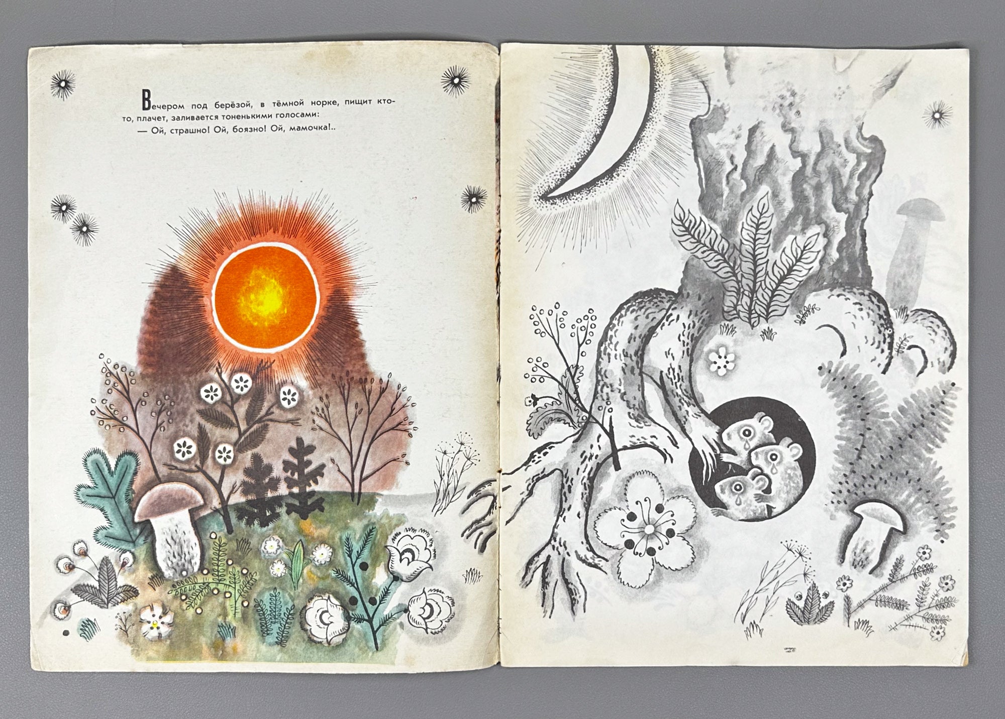 Shim, E. Sleep, Sleep, Little Mice: A Read and Color Book (Spite, spite, myshata). Illustrated by M. Mezheninov. Uncolored, 1972. In Russian
