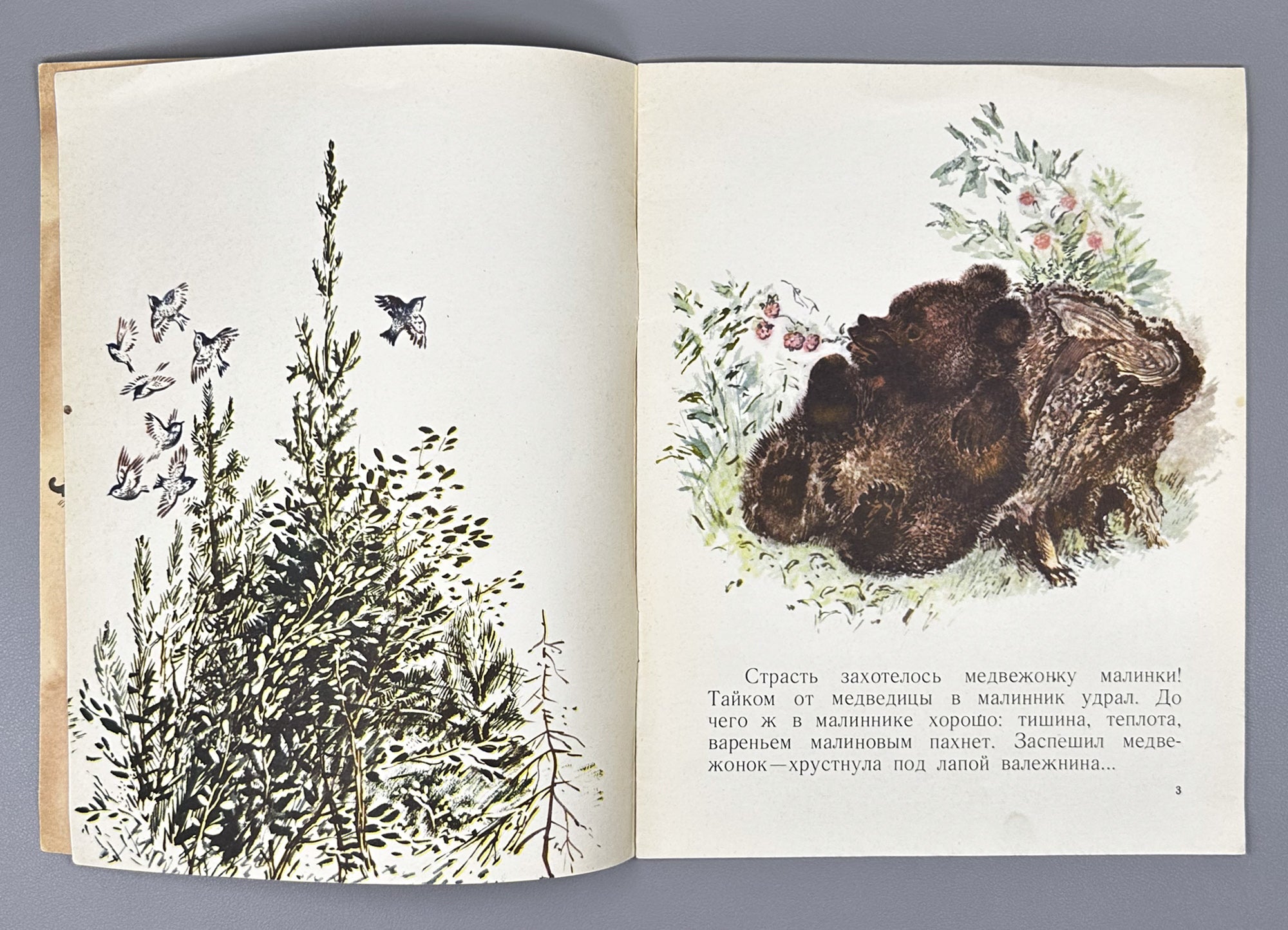Sladkov, N. How the Little Bear Frightened Himself (Kak medvezhonok sam sebya napugal). Illustrated by E. Charushin, 1968. In Russian.