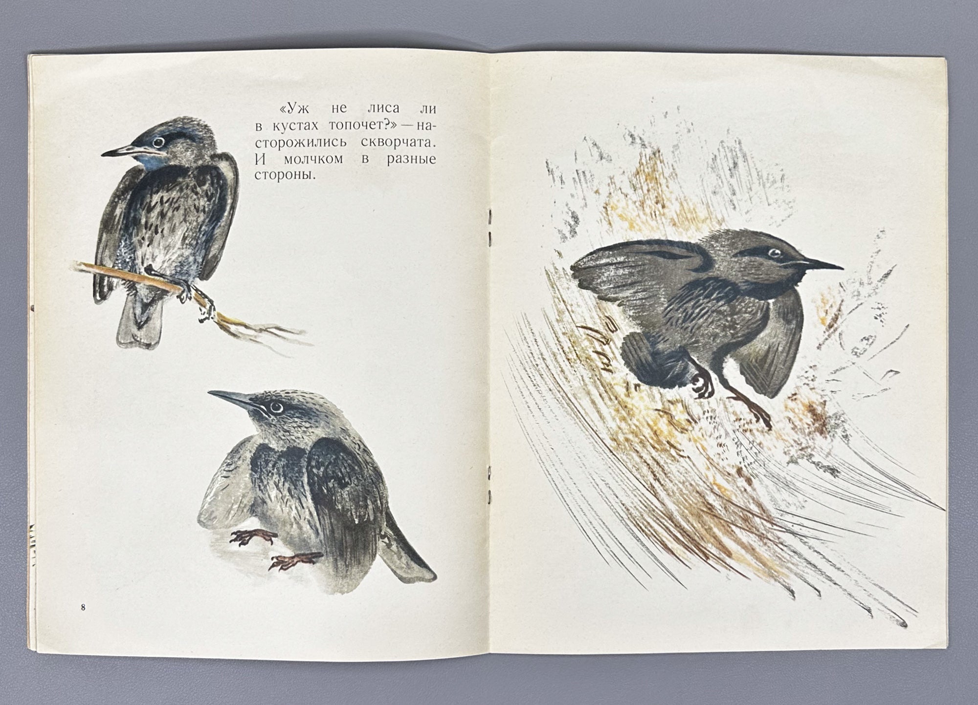 Sladkov, N. How the Little Bear Frightened Himself (Kak medvezhonok sam sebya napugal). Illustrated by E. Charushin, 1968. In Russian.