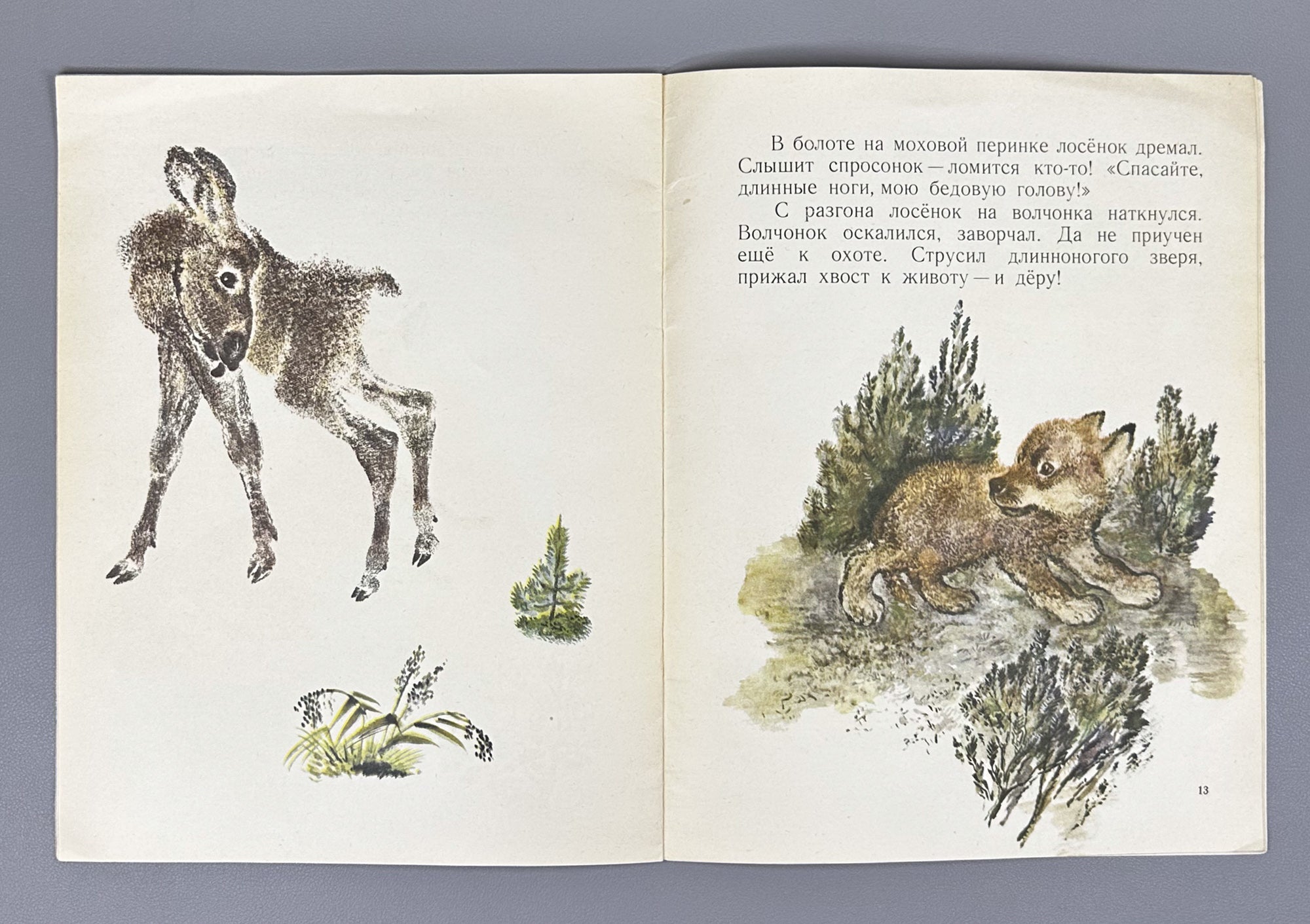 Sladkov, N. How the Little Bear Frightened Himself (Kak medvezhonok sam sebya napugal). Illustrated by E. Charushin, 1968. In Russian.