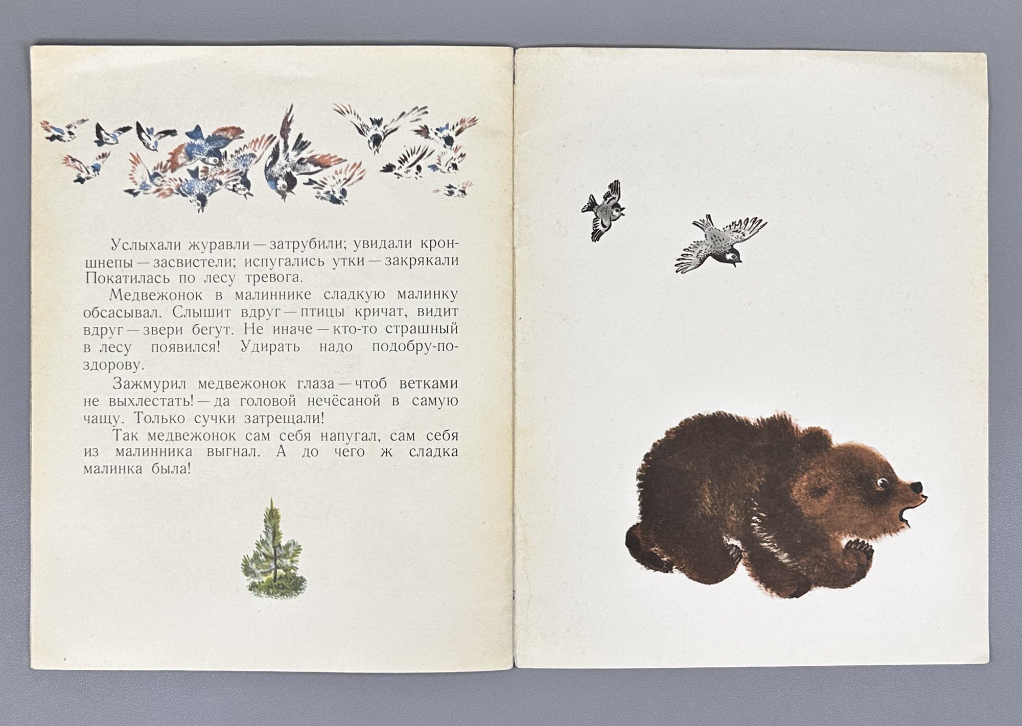 Sladkov, N. How the Little Bear Frightened Himself (Kak medvezhonok sam sebya napugal). Illustrated by E. Charushin, 1968. In Russian.