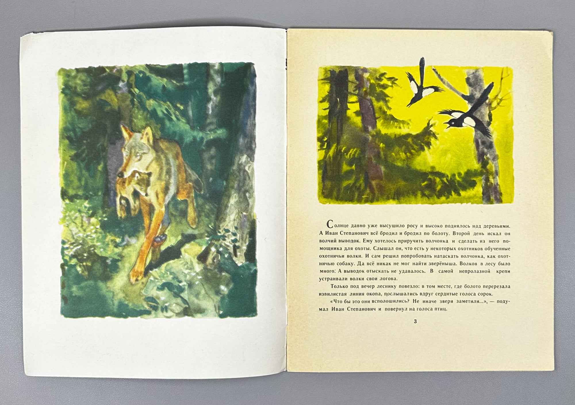 Belyaev, A. Urchuk the Wolf Cub (Volchonok Urchuk). Illustrated by G. Nikolsky. Moscow: Malysh, 1969. In Russian.
