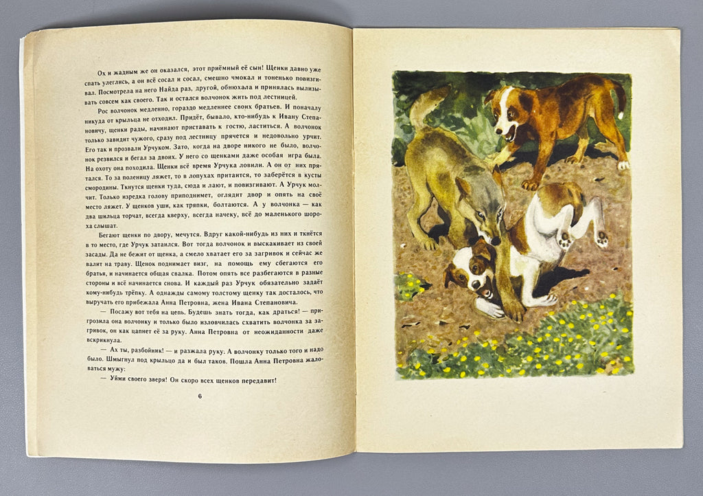 Belyaev, A. Urchuk the Wolf Cub (Volchonok Urchuk). Illustrated by G. Nikolsky. Moscow: Malysh, 1969. In Russian.