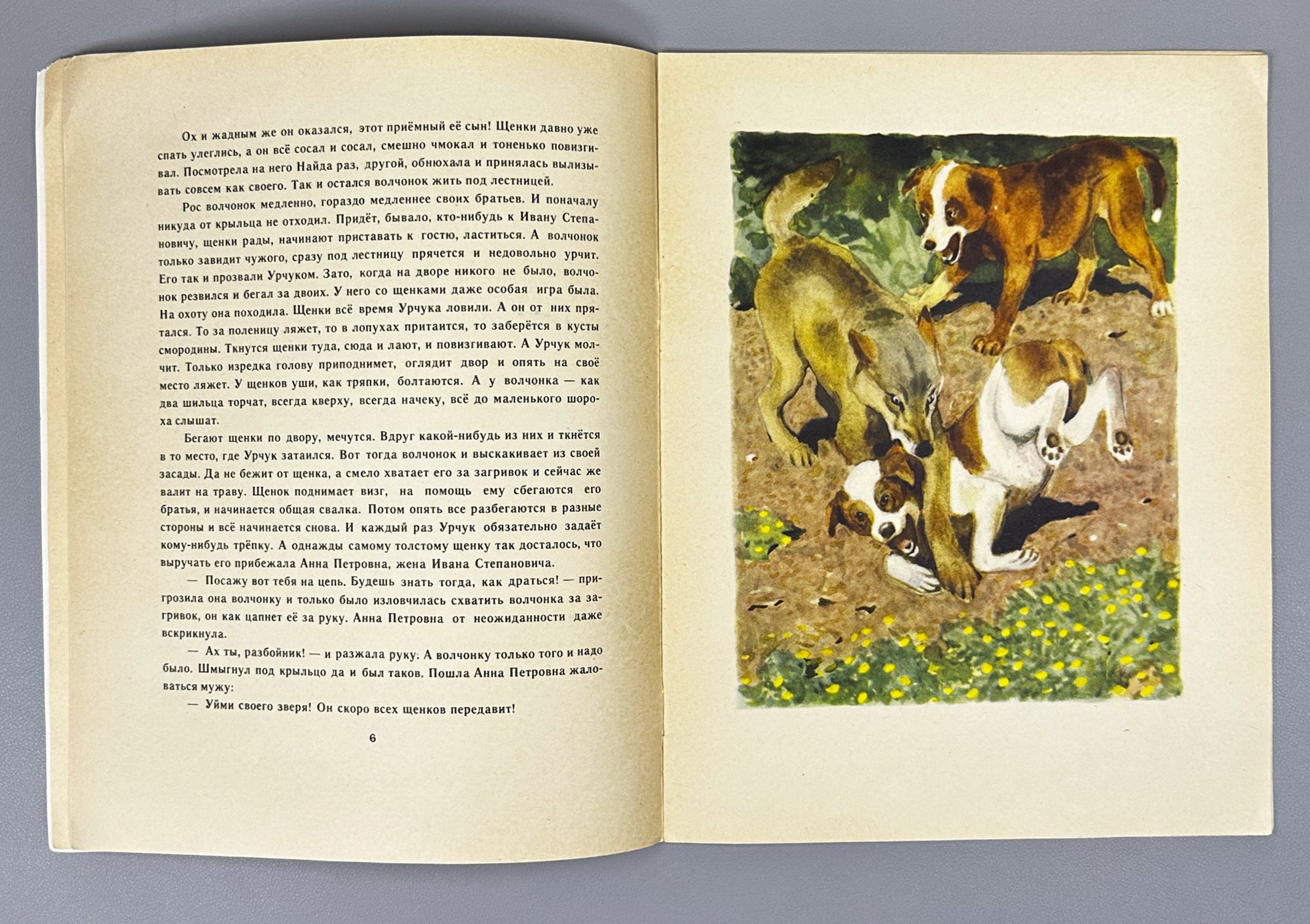 Belyaev, A. Urchuk the Wolf Cub (Volchonok Urchuk). Illustrated by G. Nikolsky. Moscow: Malysh, 1969. In Russian.