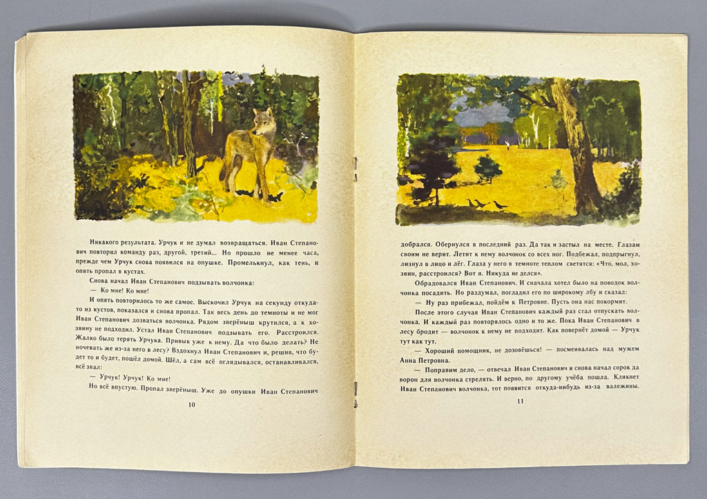 Belyaev, A. Urchuk the Wolf Cub (Volchonok Urchuk). Illustrated by G. Nikolsky. Moscow: Malysh, 1969. In Russian.