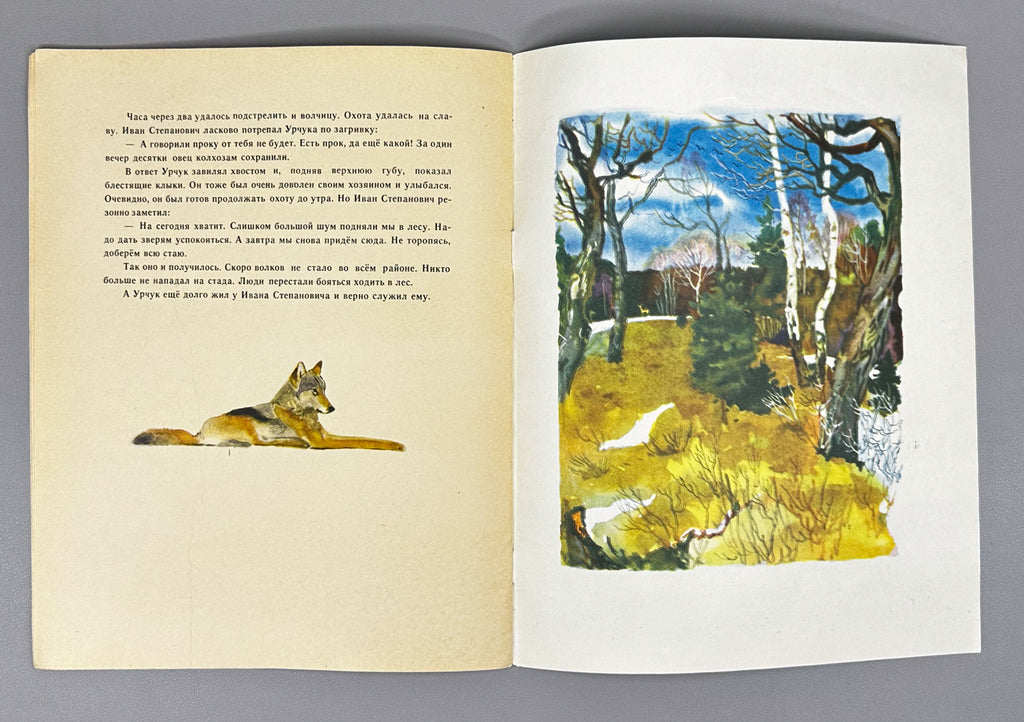 Belyaev, A. Urchuk the Wolf Cub (Volchonok Urchuk). Illustrated by G. Nikolsky. Moscow: Malysh, 1969. In Russian.