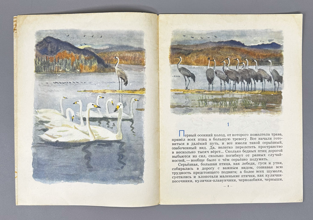 Mamin-Sibiryak, D. N. Grey Neck (Seraya sheyka). Illustrated by G. Nikolsky. Moscow: Detskaya literatura, 1970. In Russian.