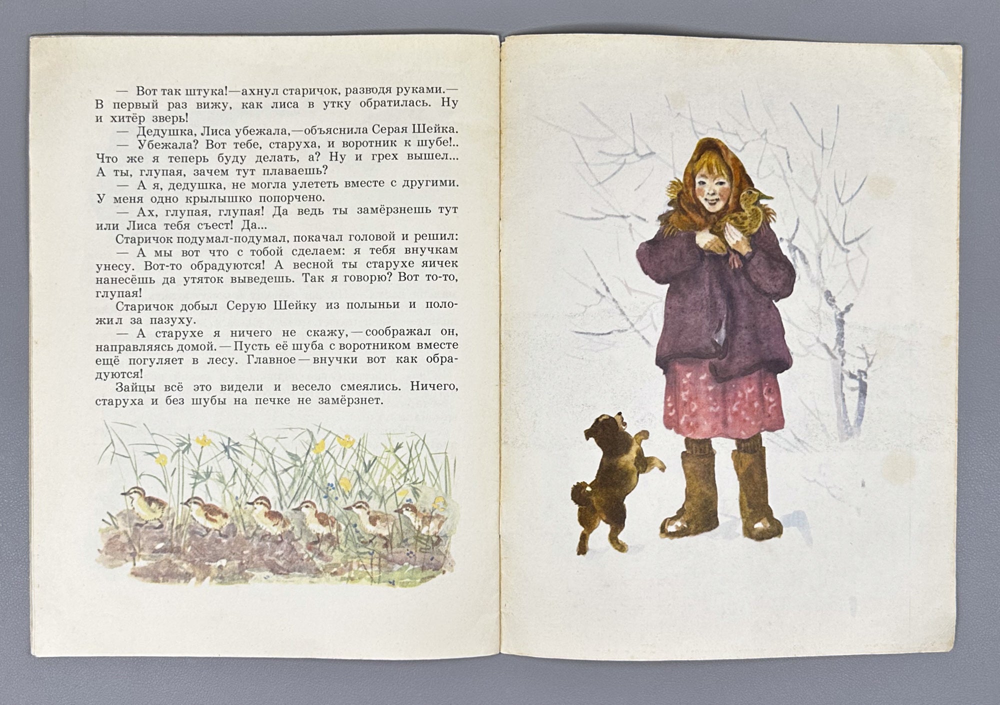Mamin-Sibiryak, D. N. Grey Neck (Seraya sheyka). Illustrated by G. Nikolsky. Moscow: Detskaya literatura, 1970. In Russian.