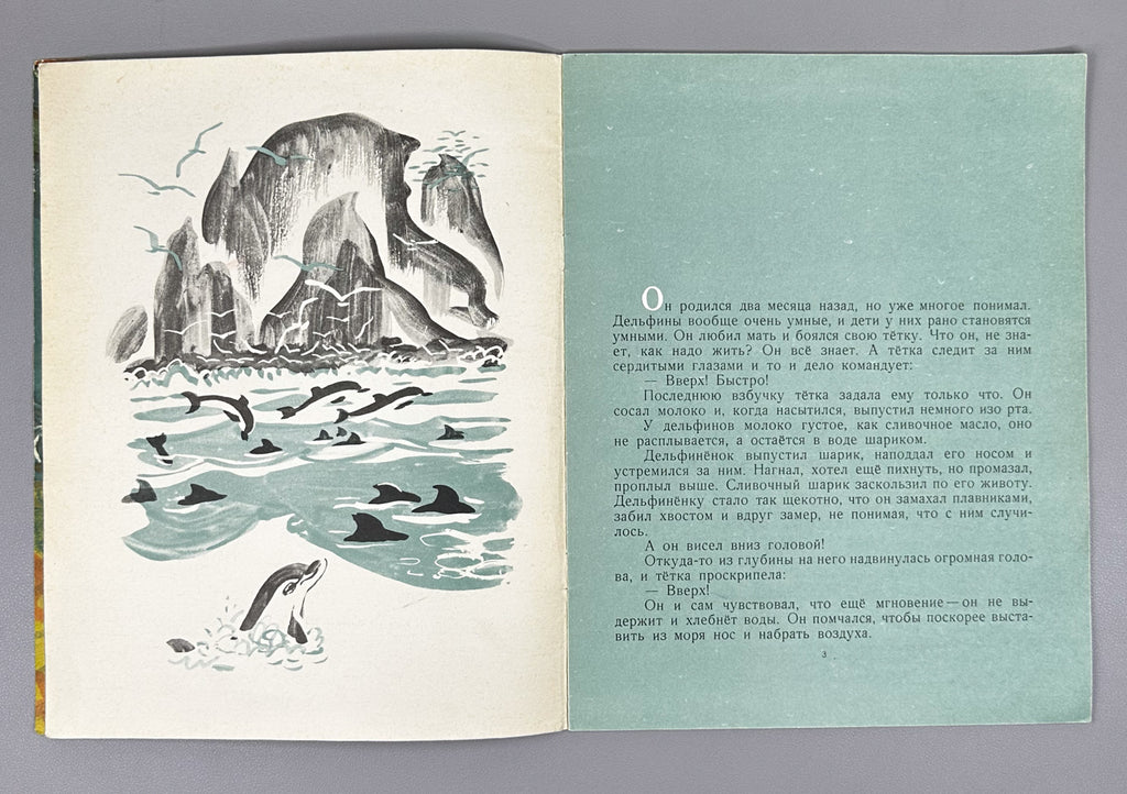 Argunova, N. Little Son (Synok). Illustrated by M. Miturich. Moscow: Detskaya literatura, 1968. In Russian.