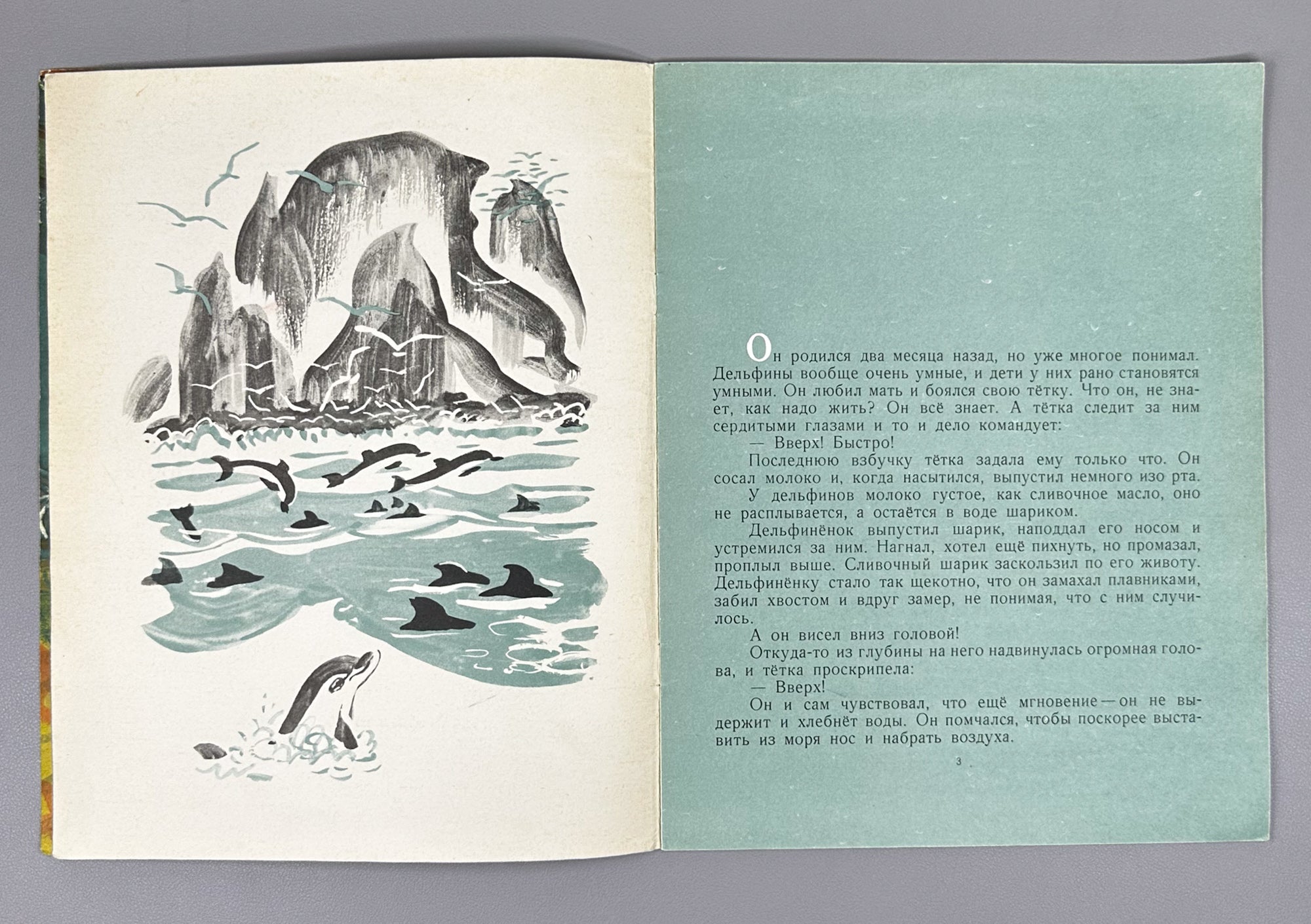 Argunova, N. Little Son (Synok). Illustrated by M. Miturich. Moscow: Detskaya literatura, 1968. In Russian.