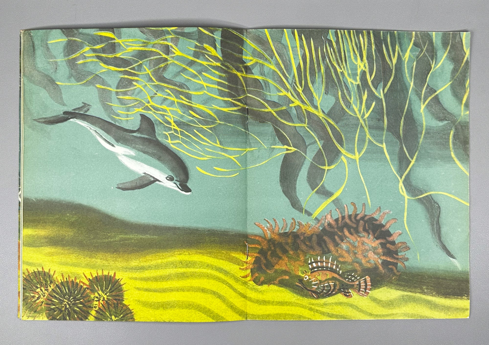Argunova, N. Little Son (Synok). Illustrated by M. Miturich. Moscow: Detskaya literatura, 1968. In Russian.