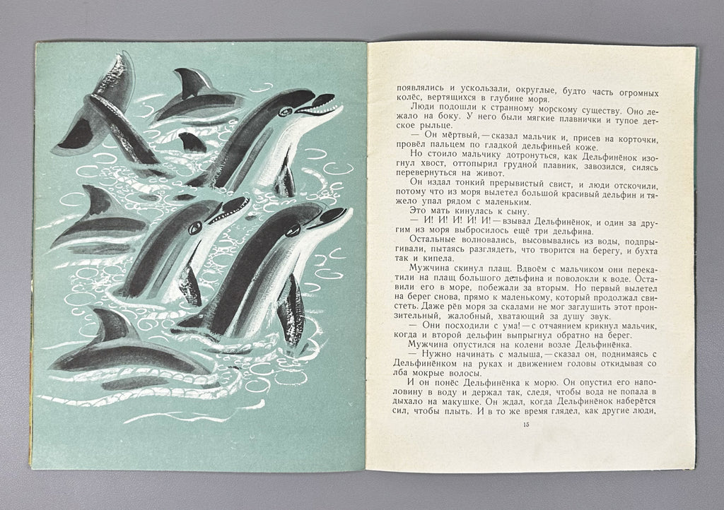 Argunova, N. Little Son (Synok). Illustrated by M. Miturich. Moscow: Detskaya literatura, 1968. In Russian.