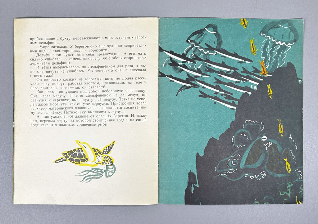 Argunova, N. Little Son (Synok). Illustrated by M. Miturich. Moscow: Detskaya literatura, 1968. In Russian.