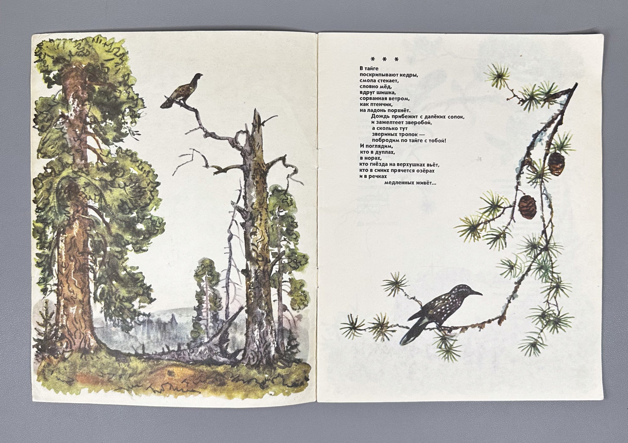 Marshak, Aksakov, Mamin-Sibiryak. Lot of 9 Illustrated Soviet Children's Books, 1961-1987. In Russian.