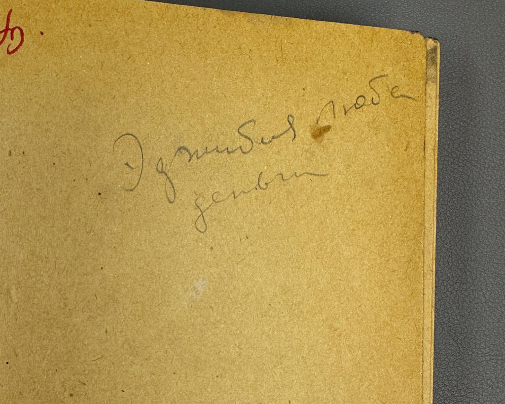 [Georgian avant-garde] Lisashvili, Iakinte (Khomeriki). Vardnili (Rose Field) : a novel. Illustrated by D. Kutateladze, 1933. In Georgian.