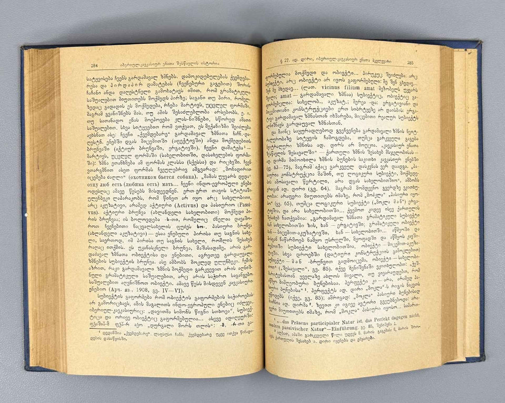Chikobava Arn., The History of the Study of Ibero-Caucasian Languages. 1965. In Georgian