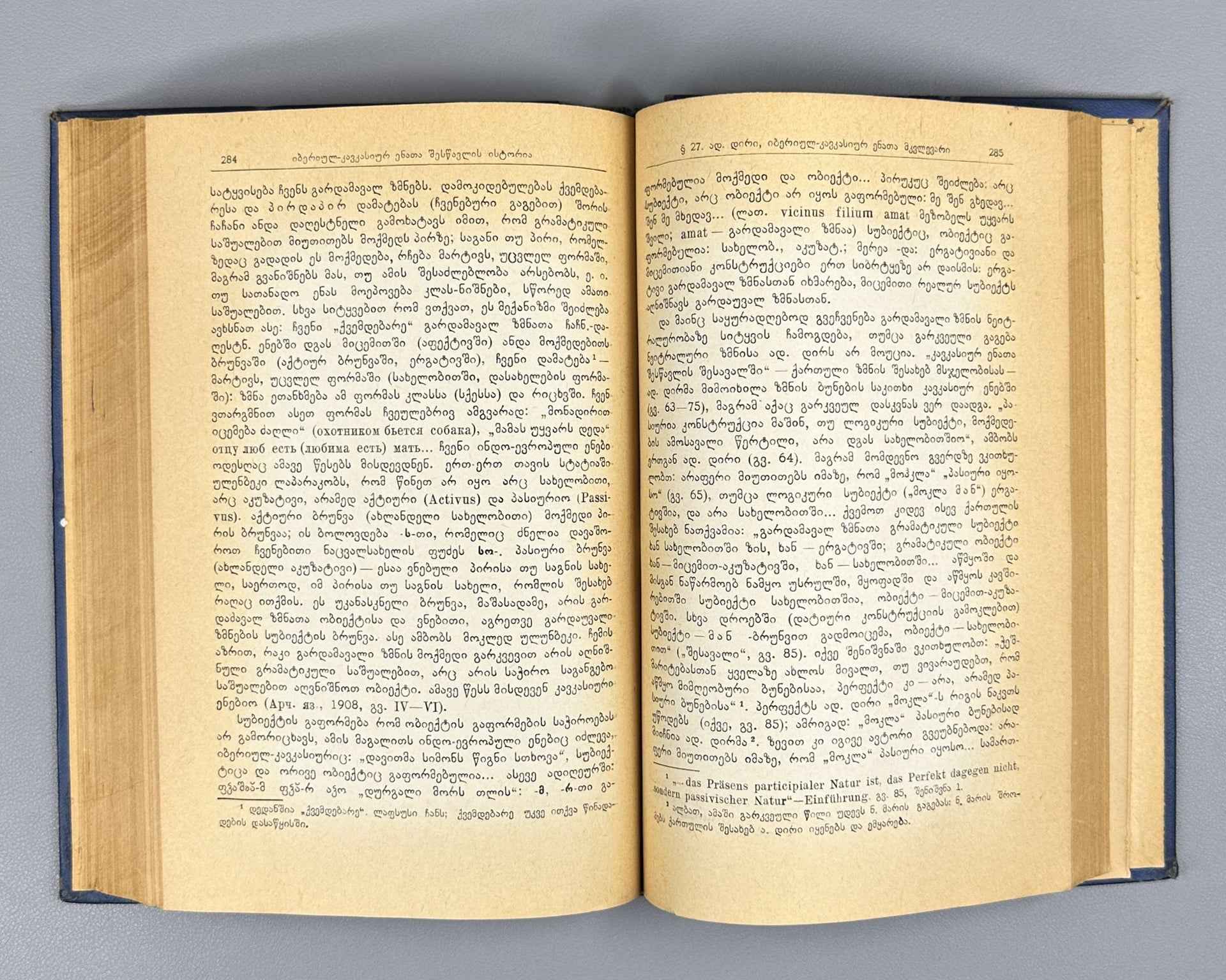 Chikobava Arn., The History of the Study of Ibero-Caucasian Languages. 1965. In Georgian