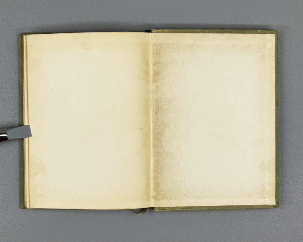 Jami, Nur al-Din Abd al-Rahman. Baharestan. Spring Garden (Bakharestan. Vesennii sad). First edition. Academia, 1935. In Russian and Persian