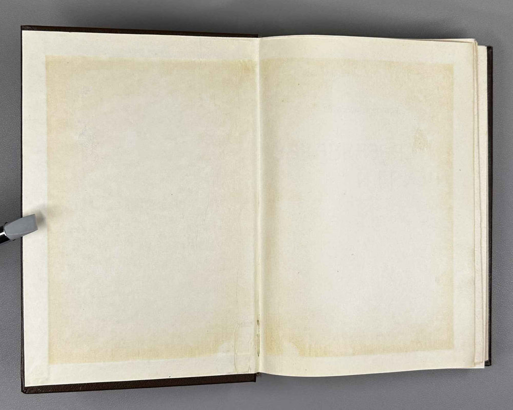 Documents and Materials on the Foreign Policy of Transcaucasia and Georgia (Dokumenty i materialy po vneshney politike Zakavkazya i Gruzii). 1990 [reprint of the 1919 edition]. In Russian