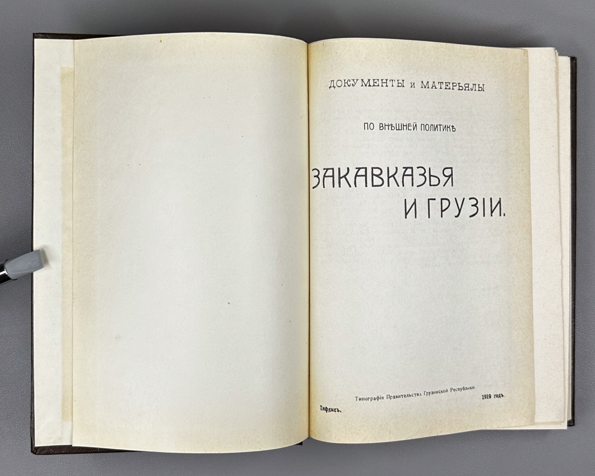 Documents and Materials on the Foreign Policy of Transcaucasia and Georgia (Dokumenty i materialy po vneshney politike Zakavkazya i Gruzii). 1990 [reprint of the 1919 edition]. In Russian