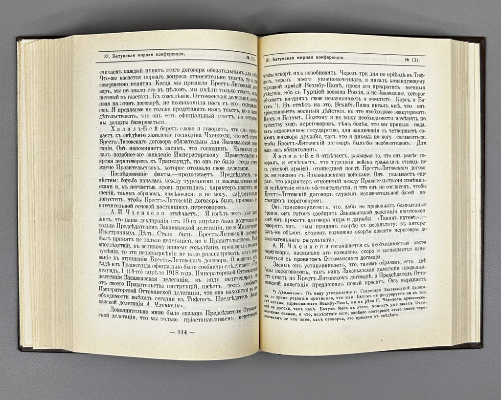 Documents and Materials on the Foreign Policy of Transcaucasia and Georgia (Dokumenty i materialy po vneshney politike Zakavkazya i Gruzii). 1990 [reprint of the 1919 edition]. In Russian