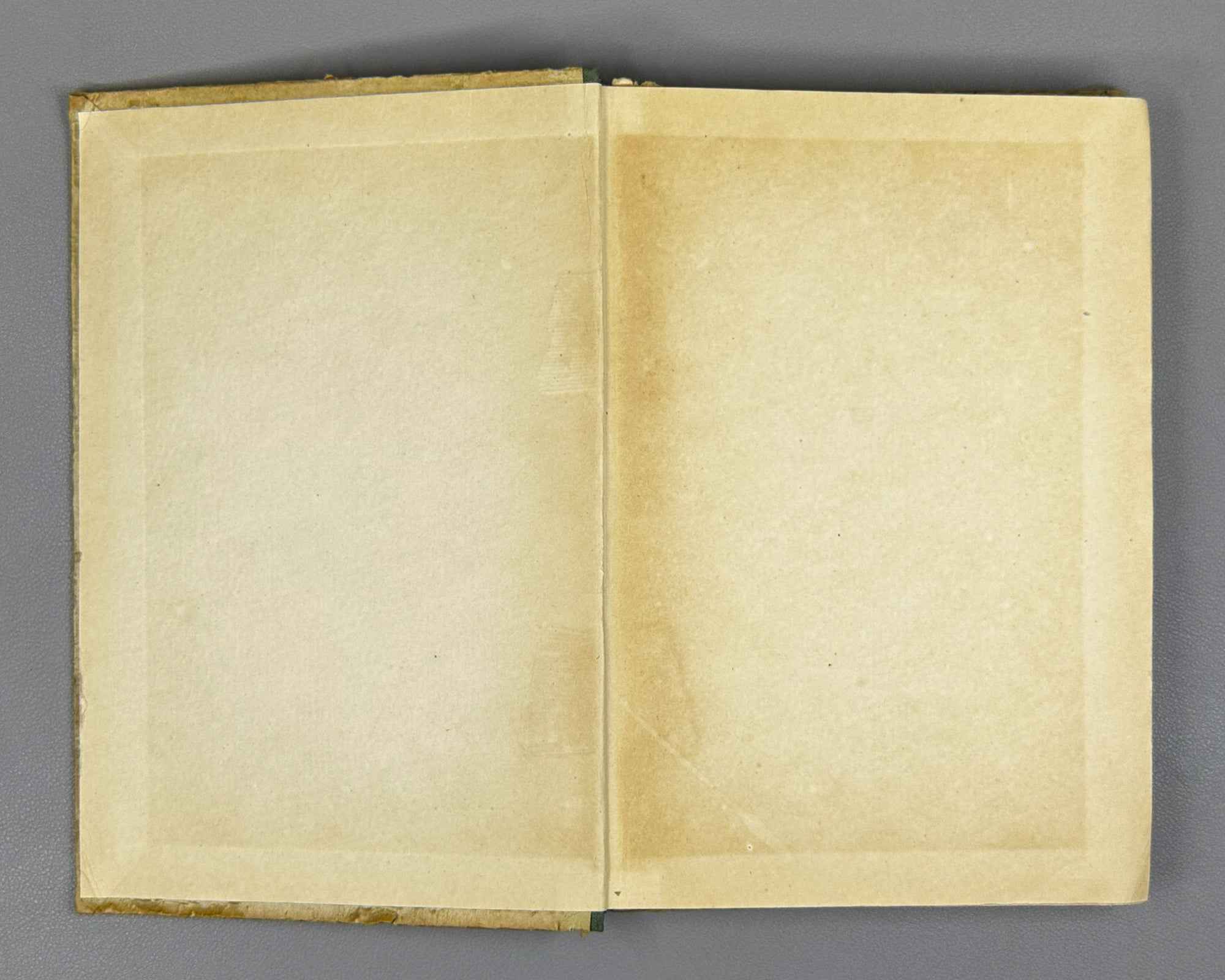 Sakhokia, T. Travels: Guria, Achara, Samurzakano, Apkhazeti (Mogzaurobani. Guria, Ach'ara, Samurzaq'ano, Apkhazeti). 1950. In Georgian.