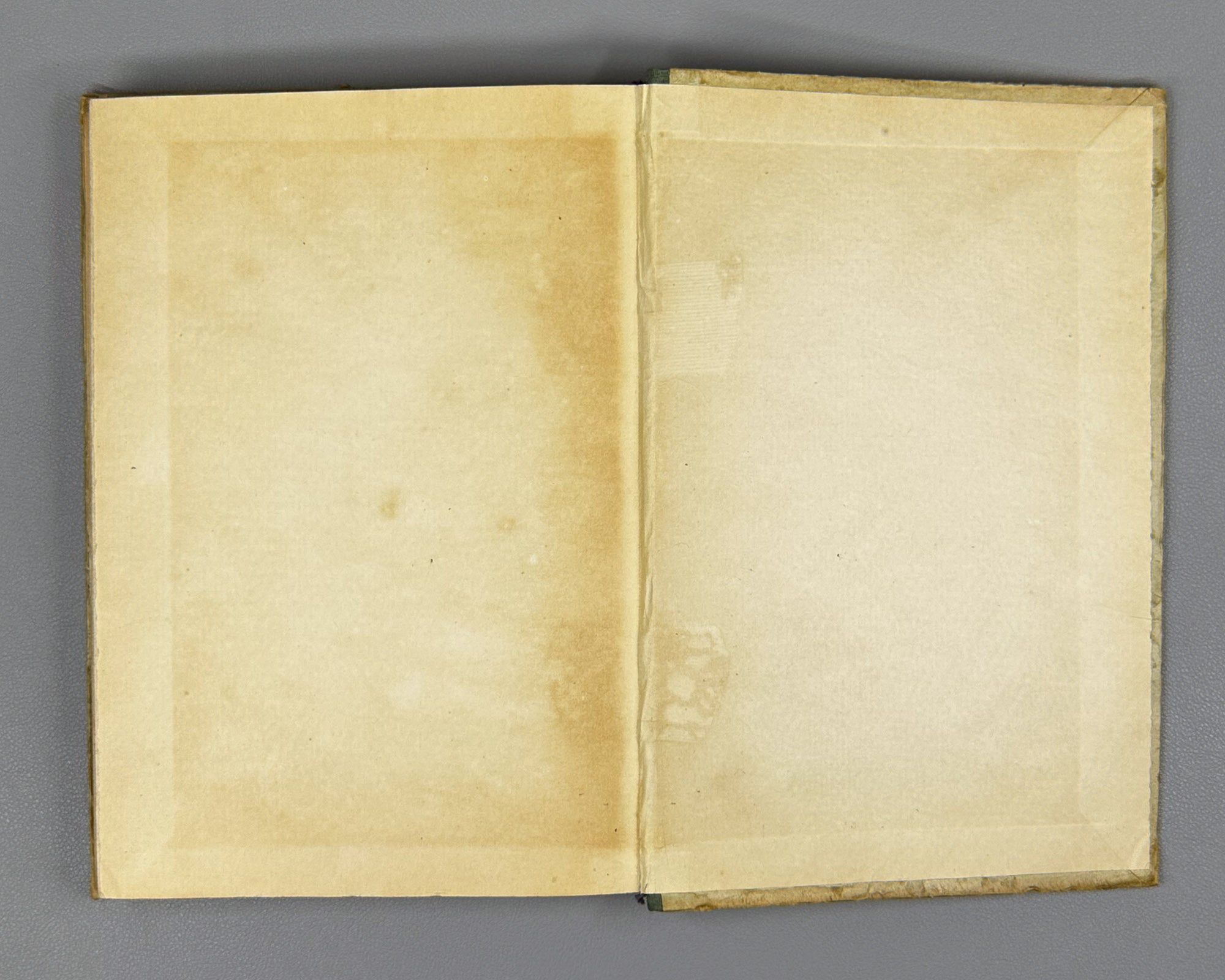 Sakhokia, T. Travels: Guria, Achara, Samurzakano, Apkhazeti (Mogzaurobani. Guria, Ach'ara, Samurzaq'ano, Apkhazeti). 1950. In Georgian.
