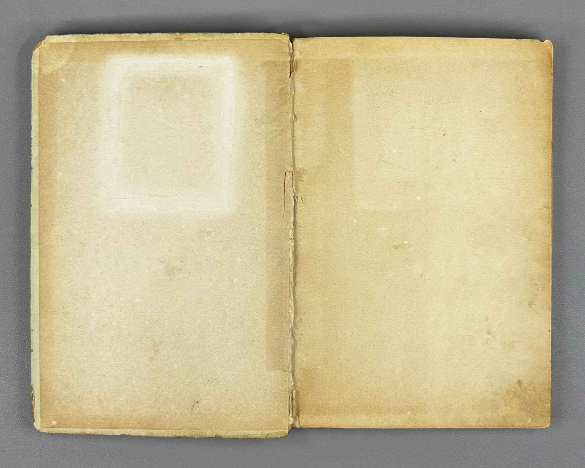 Armand, T. Fabric Ornamentation: A Guide to Textile Painting (Ornamentatsiya tkani. Rukovodstvo po rospisi tkani) Academia, 1931. In Russian.