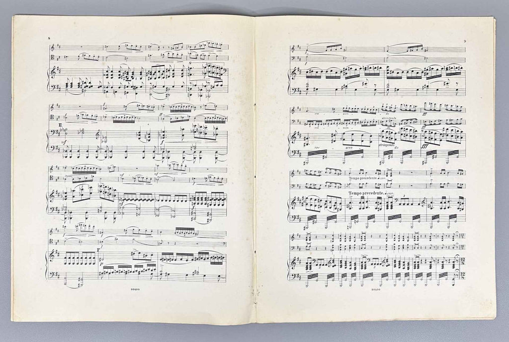 Tchaikovsky, P. I. Andante cantabile: tiré de la Symphonie № 5: Op. 64. Arranged for Violin, Violoncelle, and Piano by Fr. Spiro, 1904. In French