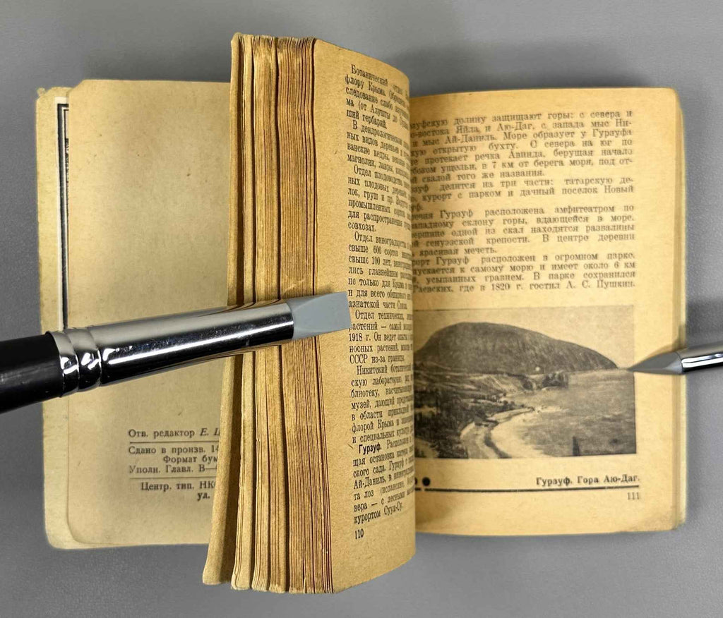 Neklyudov, N. M. Black Sea: Reference Guidebook (Chernoe more: Spravochnik-putevoditel), 1936. In Russian.