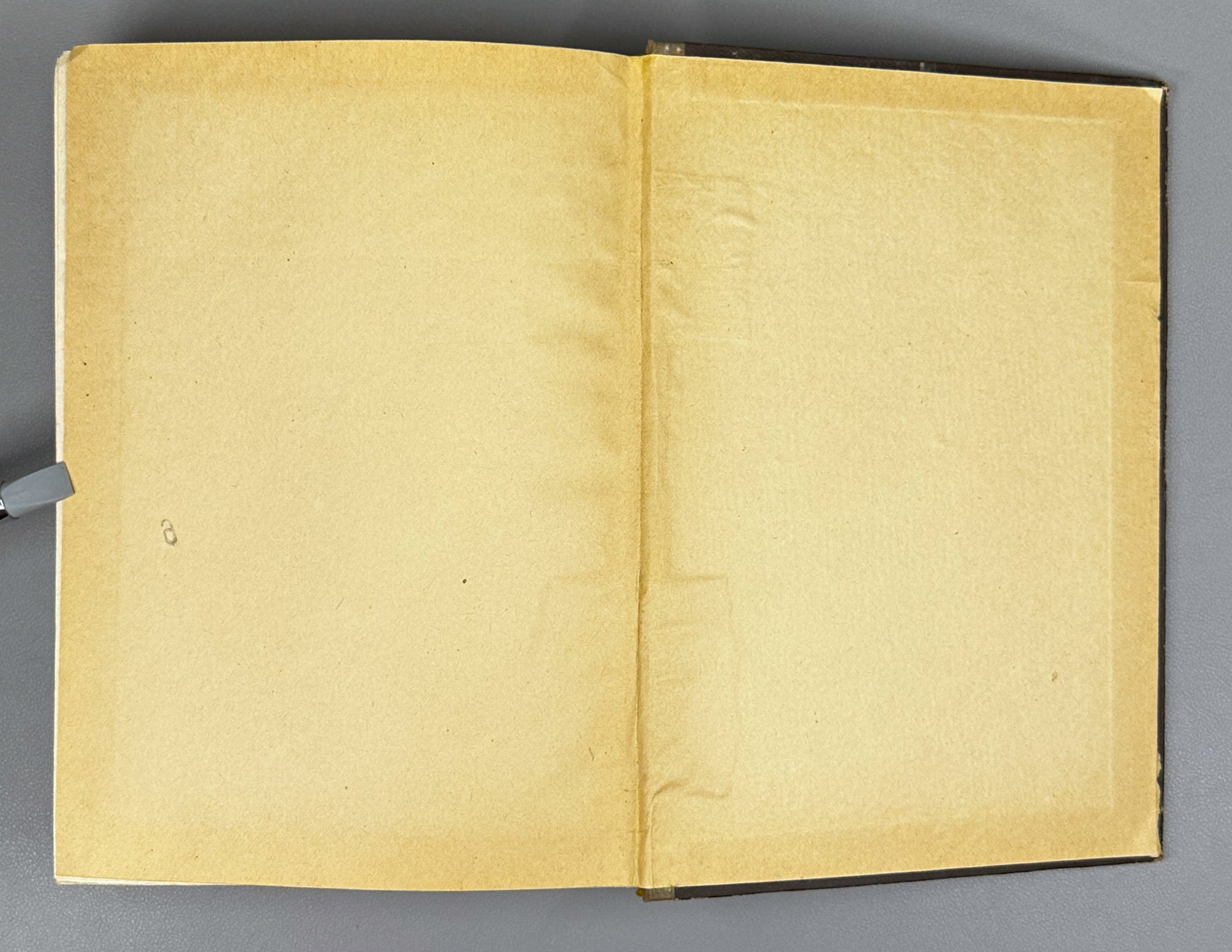 Nutsubidze, Shalva. History of Georgian Philosophy (Istoriya gruzinskoy filosofii). Tbilisi, 1960. In Russian.