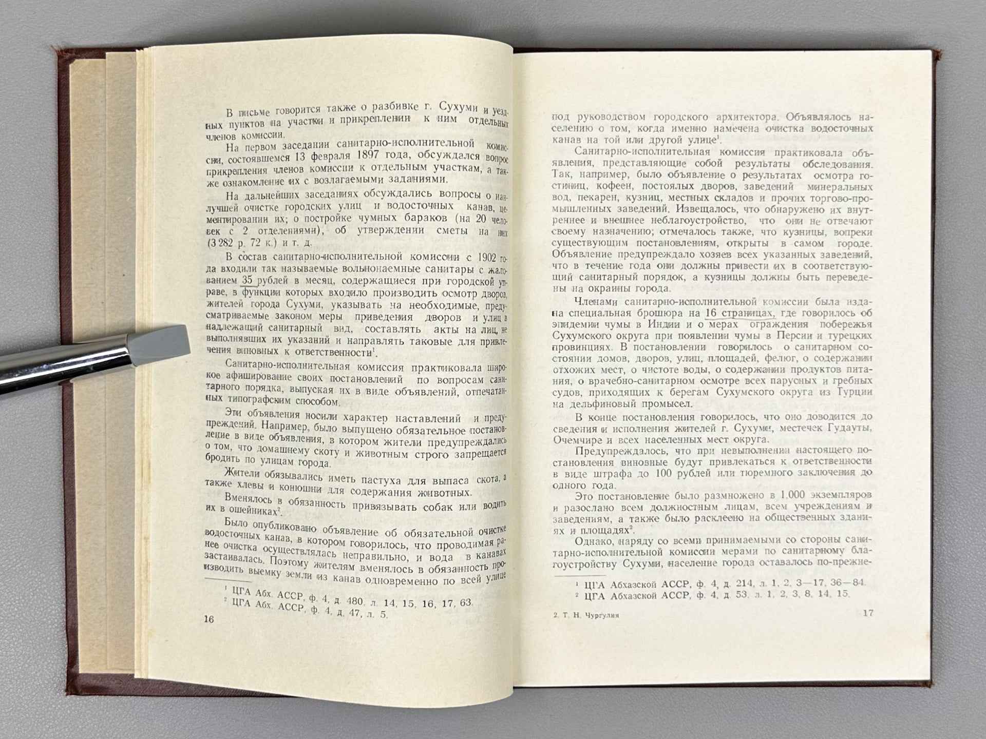 [Signed] Churgulia, T. N. History of the Development of Sanitary Education in Abkhazia (Istoriya razvitiya sanitarnogo prosveshcheniya v Abkhazii), 1958. In Russian