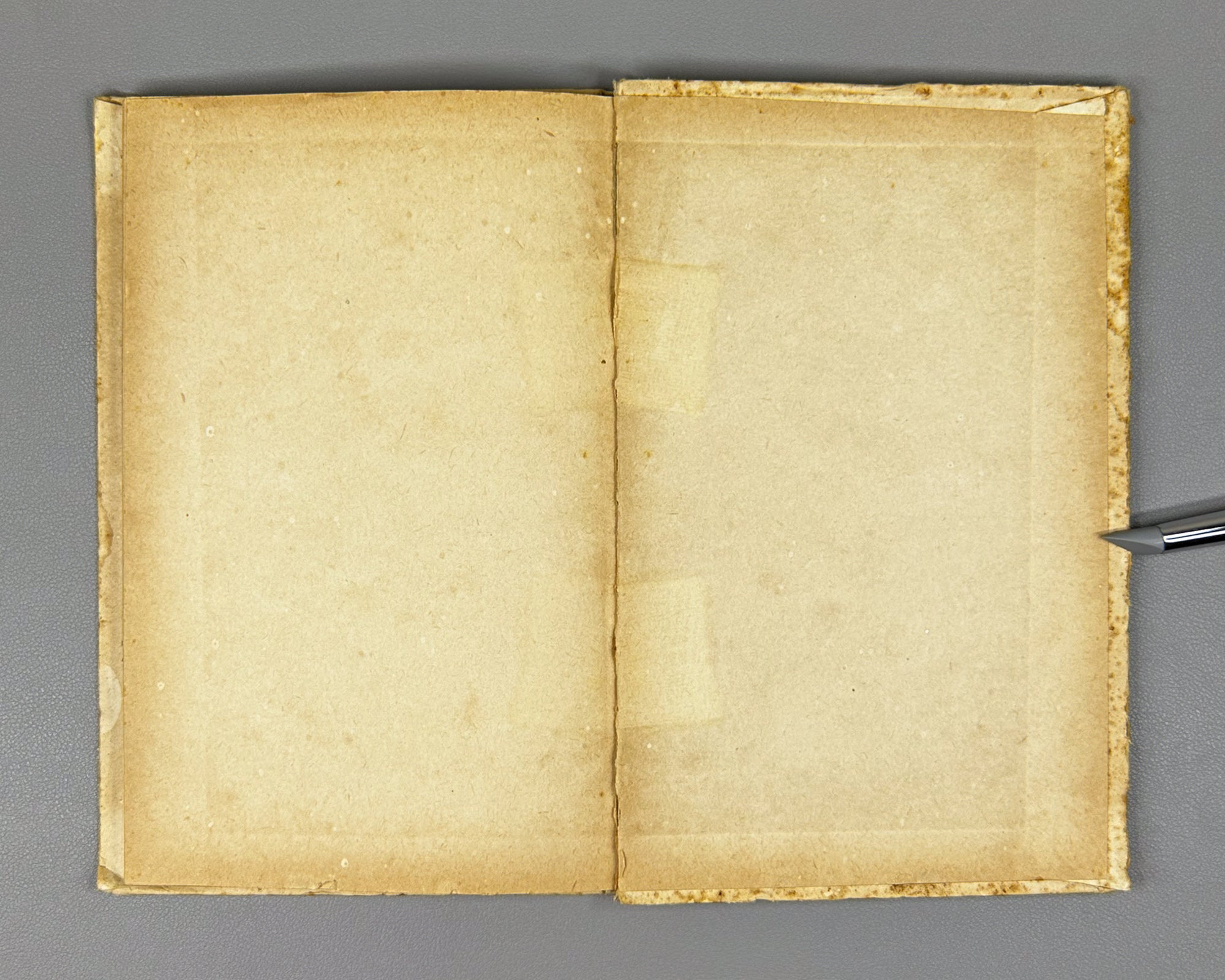 Chavchavadze, Ilia. Selected Poems and Narrative Poems (Rcheuli Leksebi da Poemebi). Tbilisi, 1937. In Georgian.