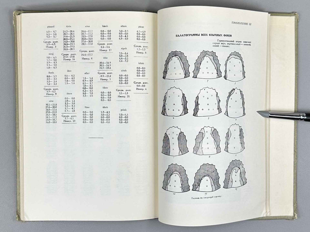 Sokolova, V. S. Phonetics of the Tajik Language (Fonetika tadzhikskogo yazyka), 1949. In Russian.