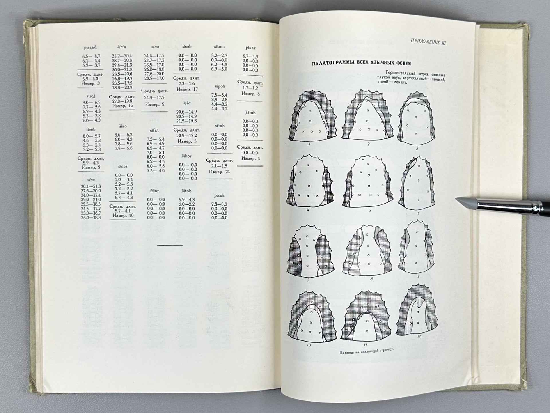 Sokolova, V. S. Phonetics of the Tajik Language (Fonetika tadzhikskogo yazyka), 1949. In Russian.