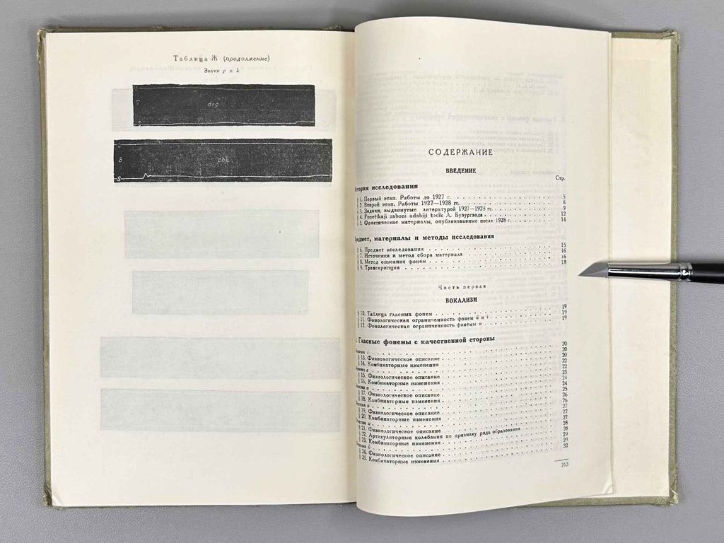 Sokolova, V. S. Phonetics of the Tajik Language (Fonetika tadzhikskogo yazyka), 1949. In Russian.