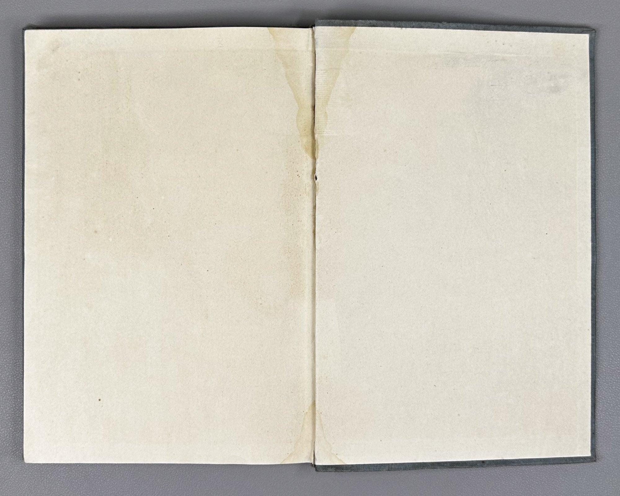 Lamberti, Arcangelo. Description of Samegrelo (Samegrelos aghtsera). Translated by A. Chqonia. Tbilisi, Federatsia, 1938. In Georgian.