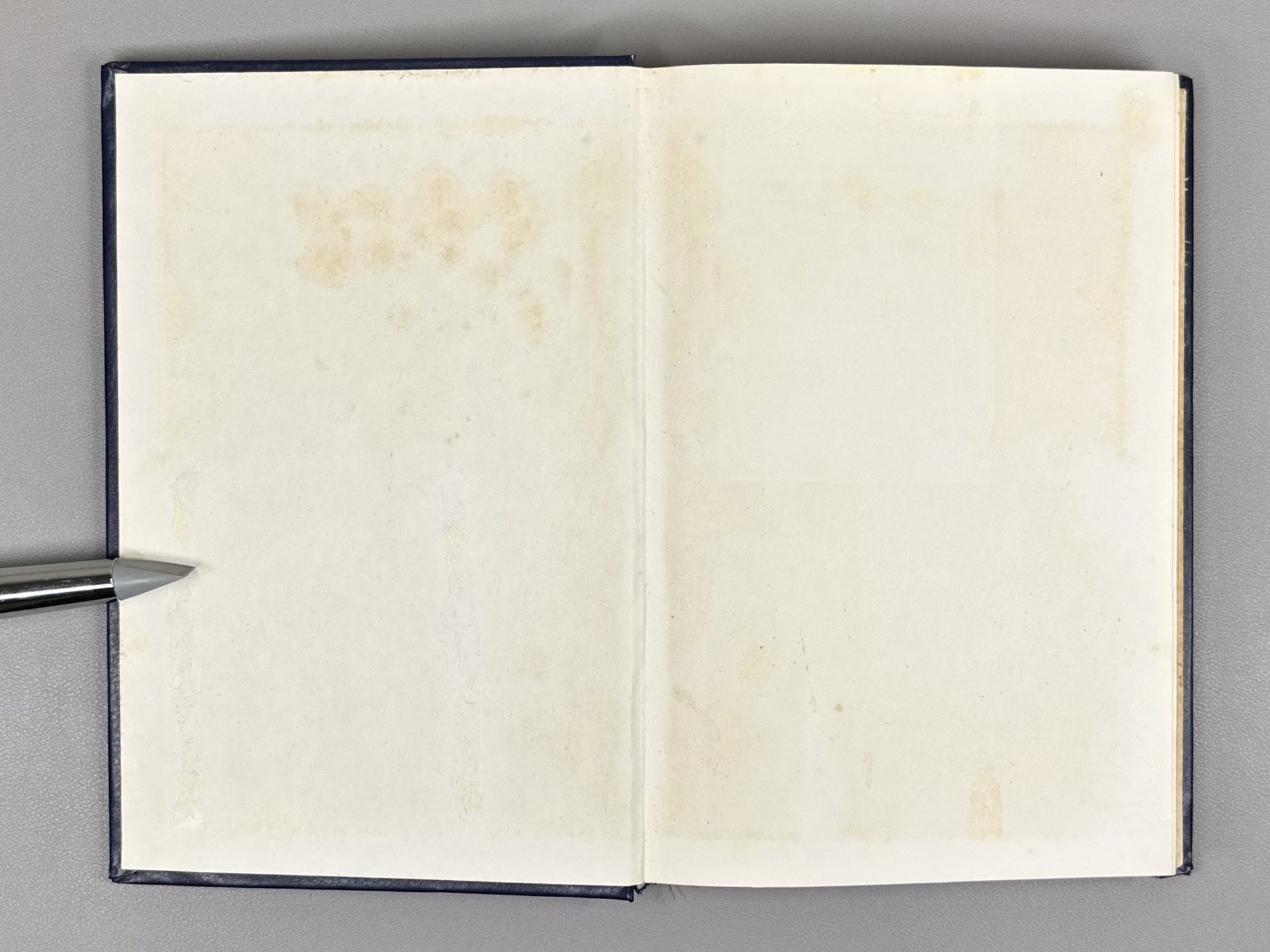 Marr, Yu. N., Megrelidze, I. V., Chaykin, K. I. Correspondence on Issues of Iranian and Georgian Studies (Perepiska po voprosam iranistiki i gruzinovedeniya), 1980. In Russian.