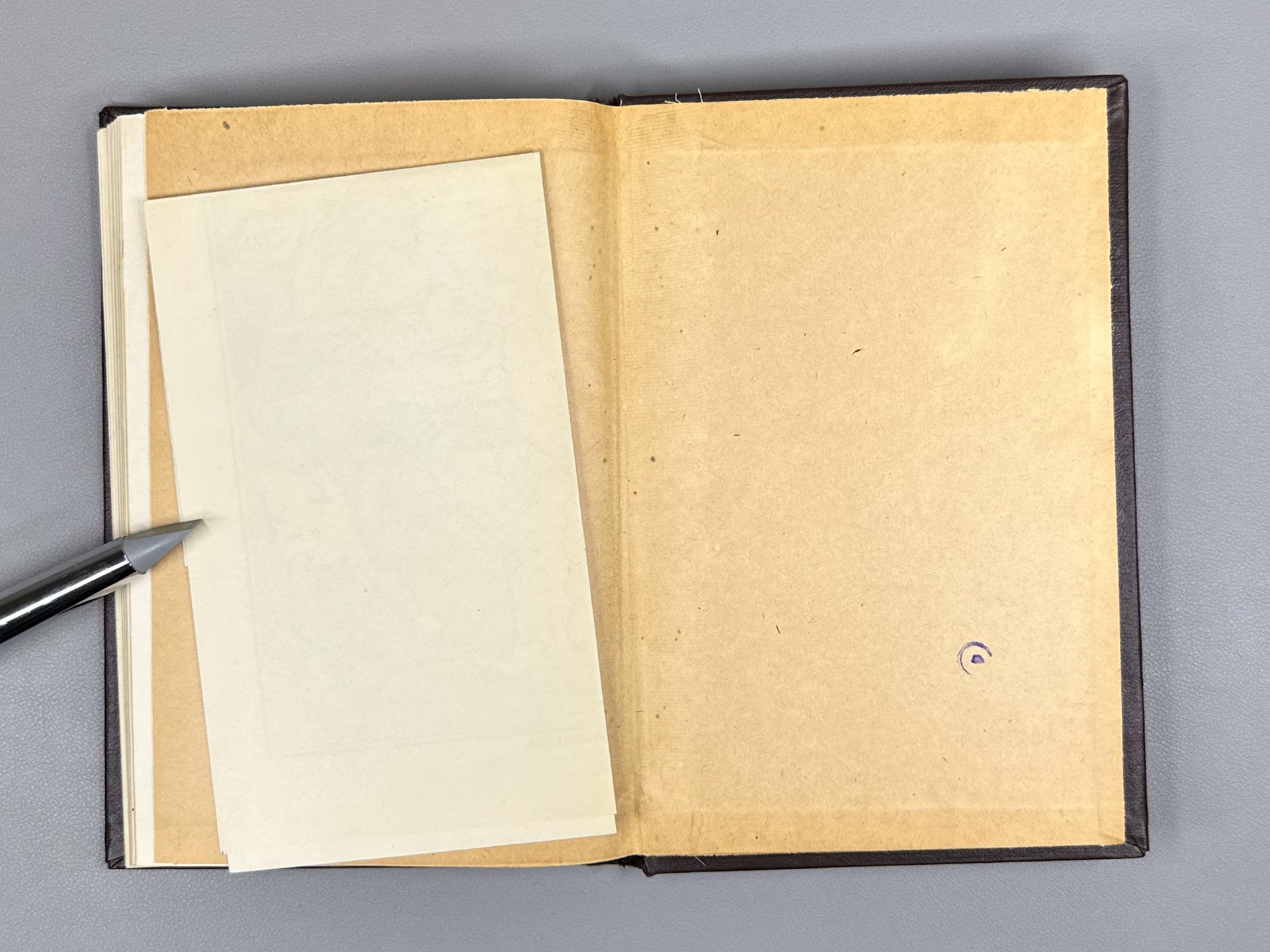 Kondrashov, N. A. Slavic Languages (Slavyanskie yazyki), 1962. In Russian.