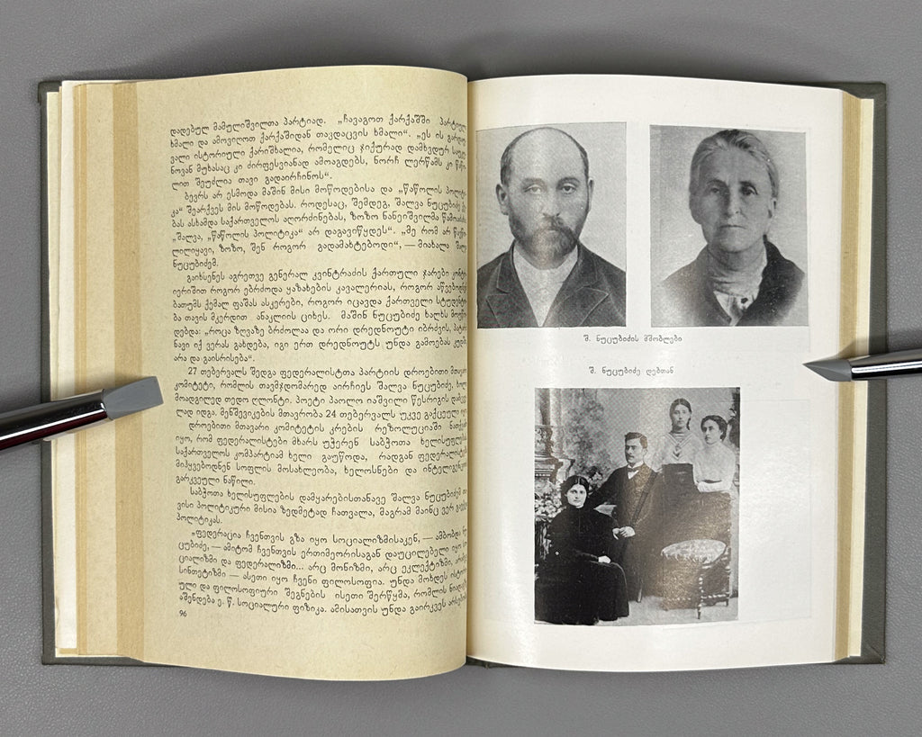 Nutsubidze, K. Shalva Nutsubidze: Episodes from a Life / foreword by V. Kvachakhia. Tbilisi, 1982. In Georgian.