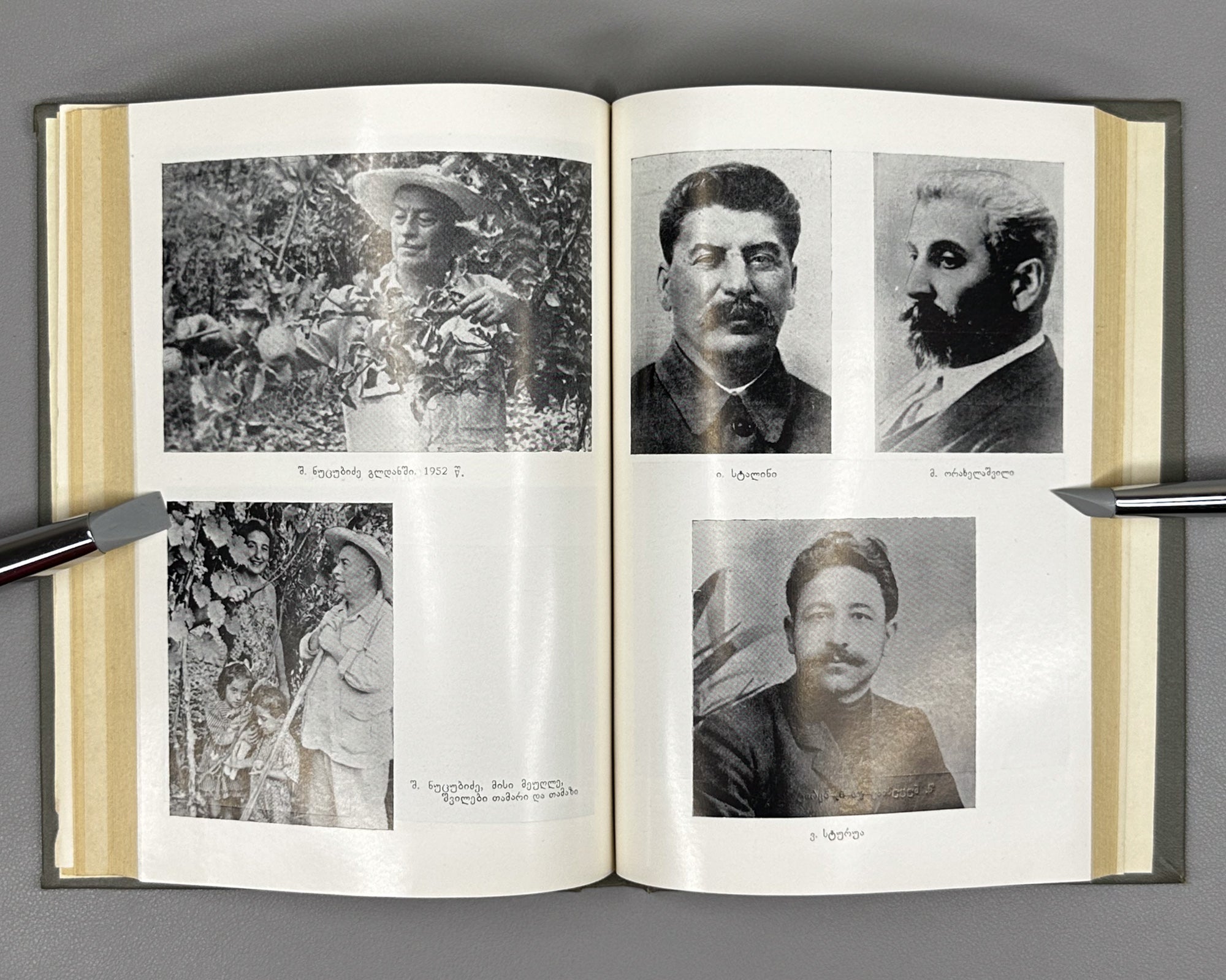 Nutsubidze, K. Shalva Nutsubidze: Episodes from a Life / foreword by V. Kvachakhia. Tbilisi, 1982. In Georgian.