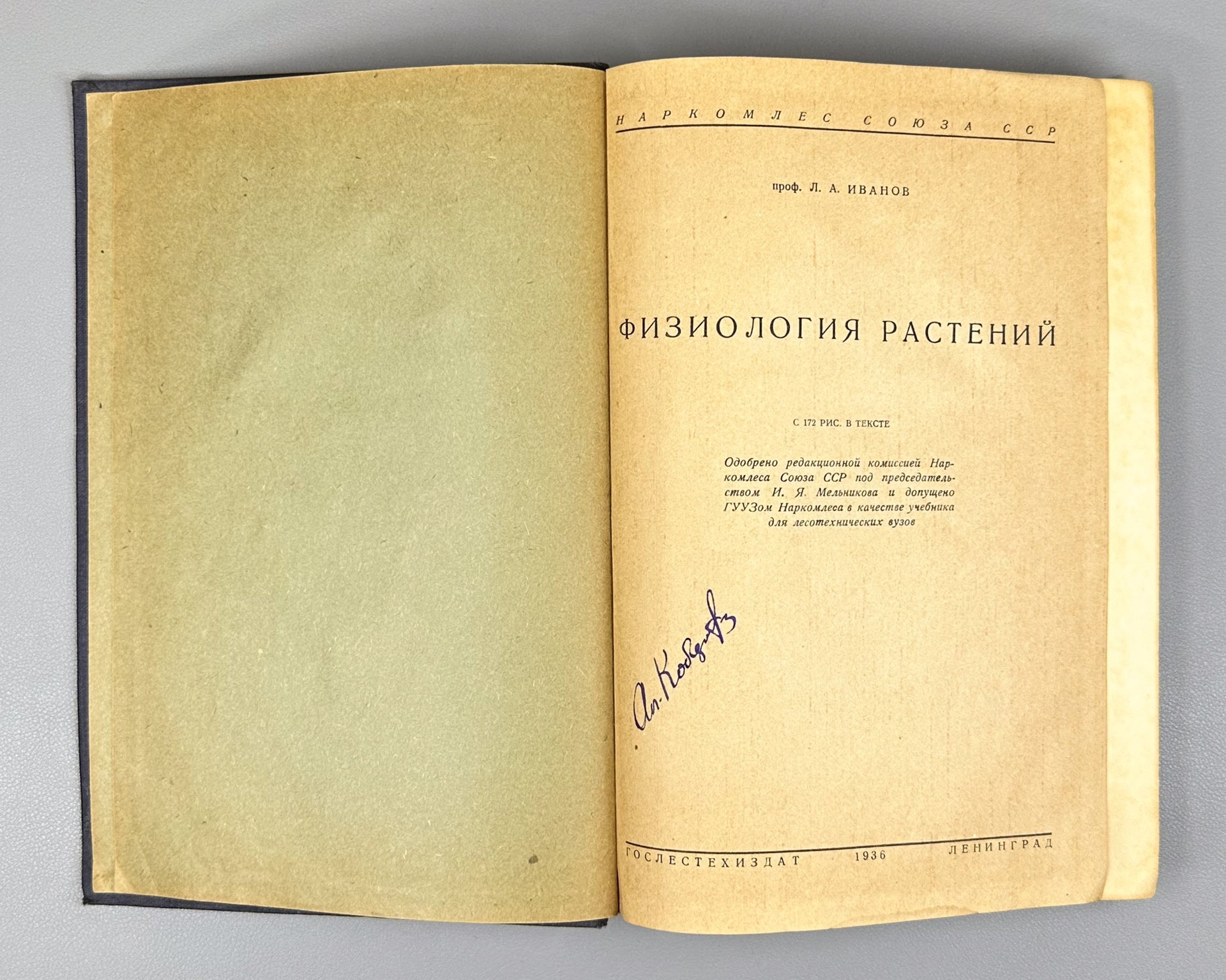 Ivanov, L. A. Plant Physiology (Fiziologiya rasteniy), 1936. In Russian.