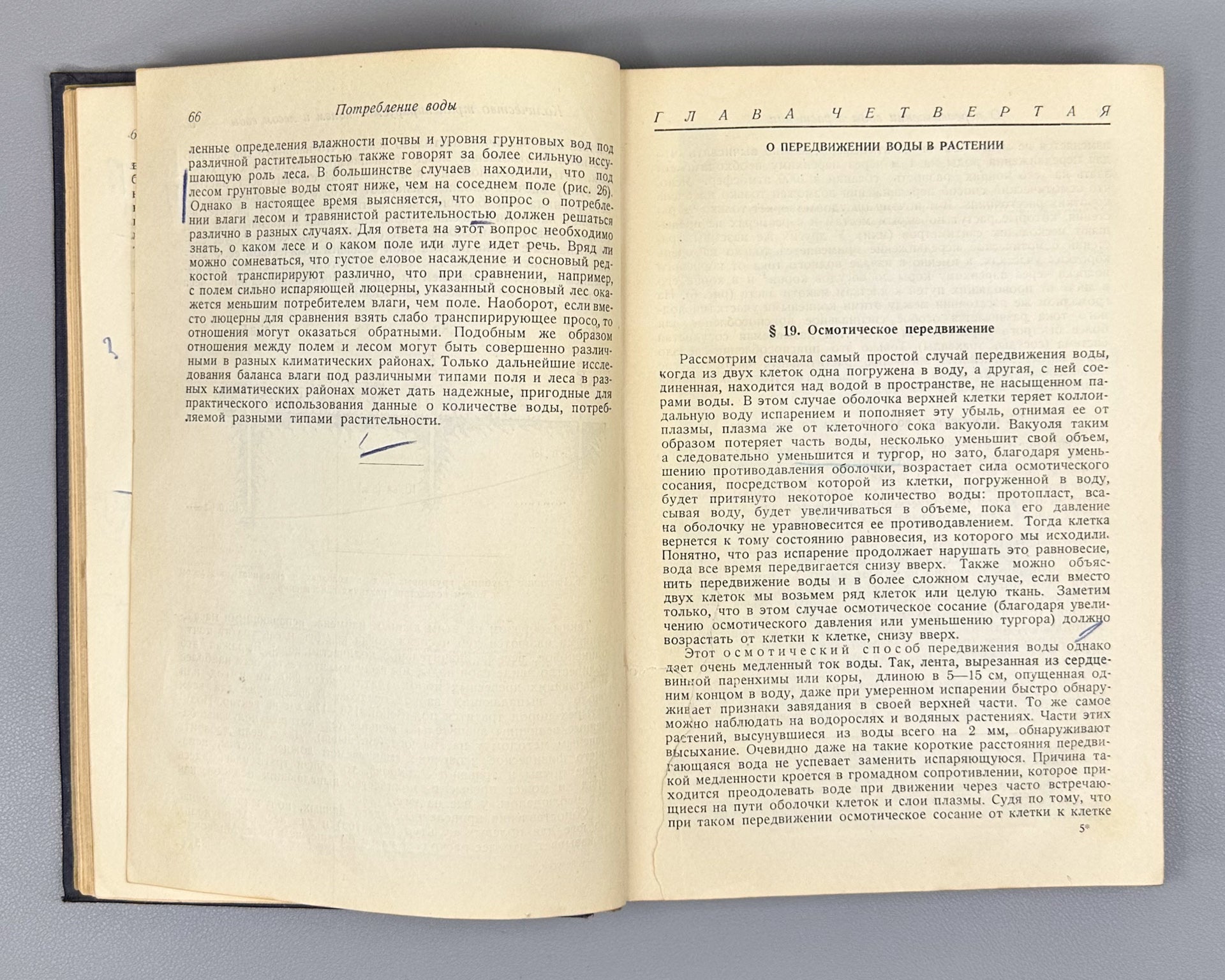 Ivanov, L. A. Plant Physiology (Fiziologiya rasteniy), 1936. In Russian.