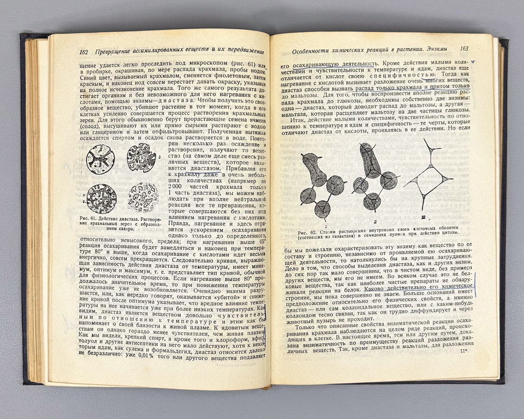 Ivanov, L. A. Plant Physiology (Fiziologiya rasteniy), 1936. In Russian.