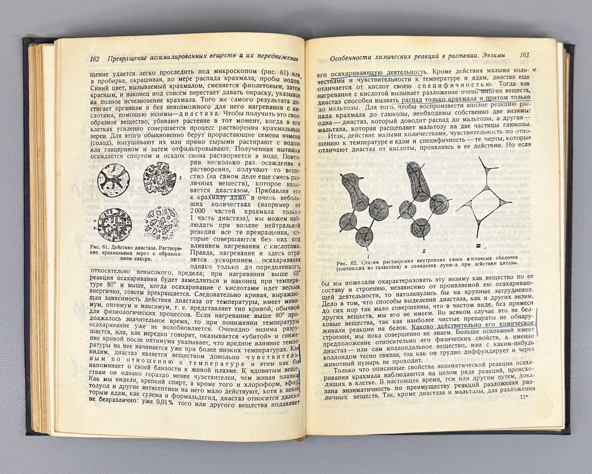 Ivanov, L. A. Plant Physiology (Fiziologiya rasteniy), 1936. In Russian.