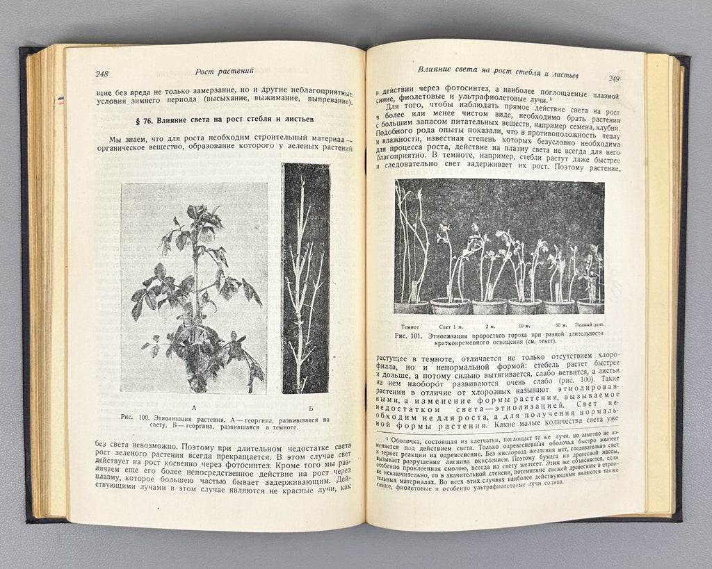 Ivanov, L. A. Plant Physiology (Fiziologiya rasteniy), 1936. In Russian.